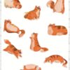 Vente planche de stickers pour enfants / ados - Boutique en ligne - Création française - Fat cat
